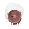 DUSTY PINK FLORAL BOUQUET FASCINATOR